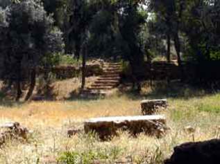 Jardim com ruîas da Academia de Platão - Atenas (2005)